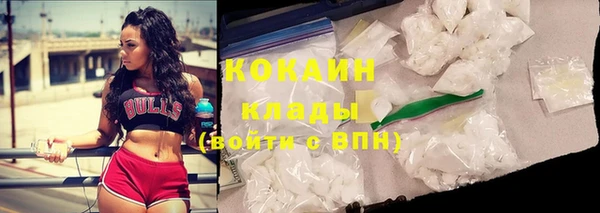 дживик Балахна