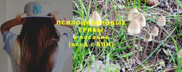 Альфа ПВП Новокубанск