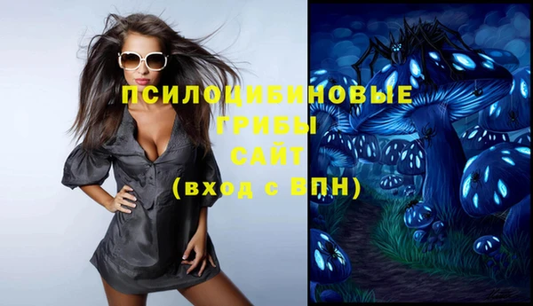 дживик Балахна