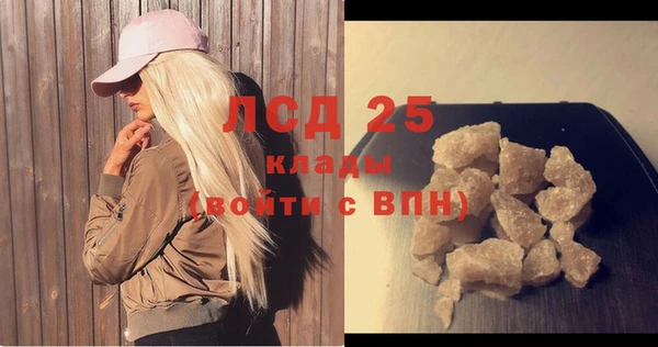 гашик Новозыбков